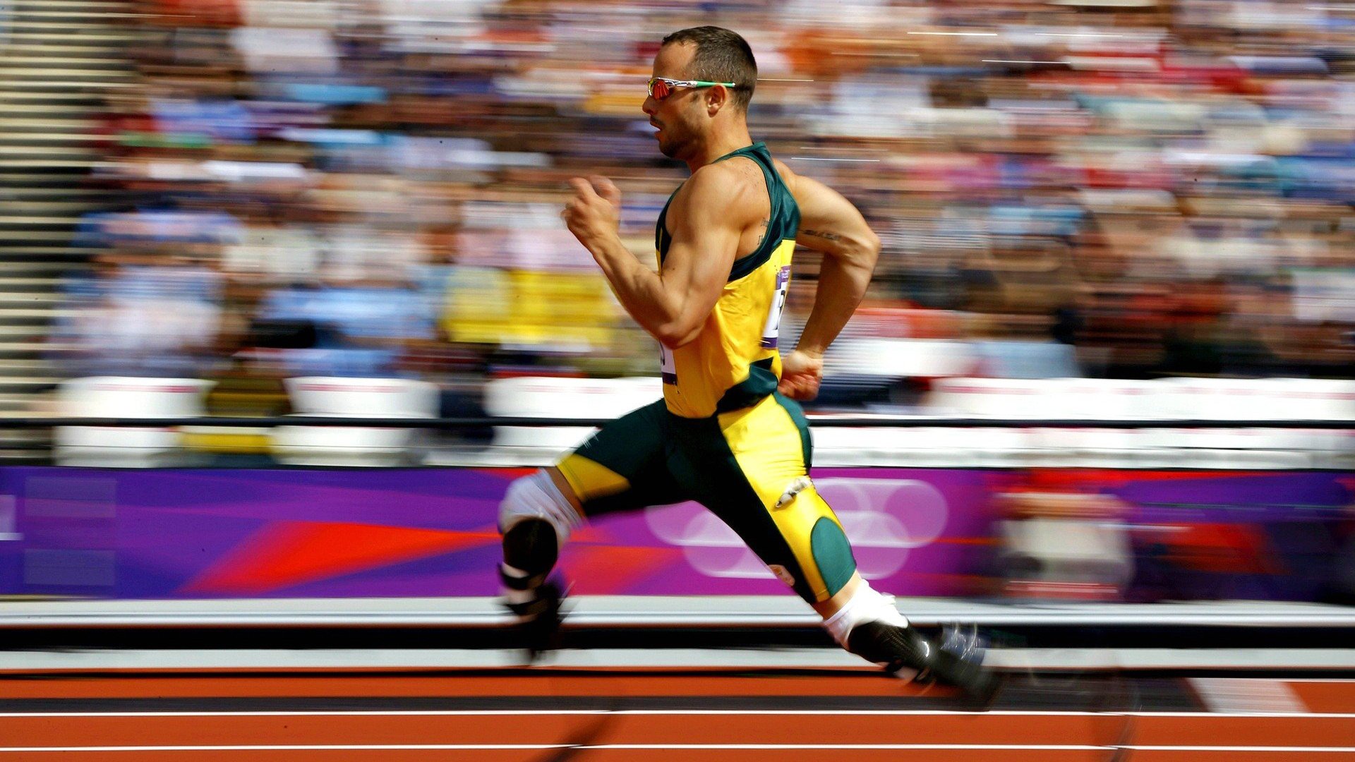 包含科维托娃重要时刻战术调整，雄鹿带队取胜！全场沸腾不已的词条